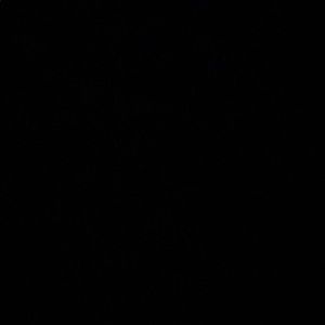 Meet your Posher, Alijah